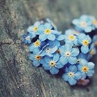 鱼缸底部怎么清理？
