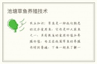 池塘草鱼养殖技术