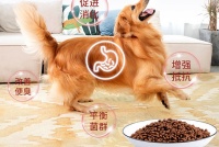 卡乐迪全价成犬粮护爱宠敏感肠胃