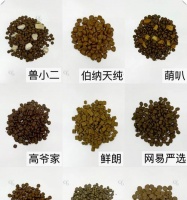 肠胃吸收不佳的贵宾狗该如何选择狗粮？（为肠胃敏感的贵宾狗提供适宜的营养和呵护）