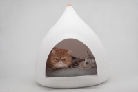 猫咪会进入你的被子，几个技巧让你的猫咪学会回窝睡!