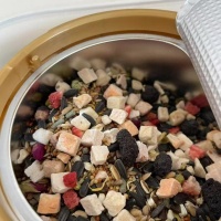 不止喂饱！IGG 鹦鹉粮升级爱鸟食谱，为健康筑起防护高墙
