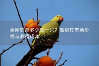 金刚鹦鹉多少钱一只？揭秘其市场价格与养殖成本