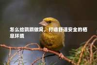 怎么给鹦鹉做窝，打造舒适安全的栖息环境