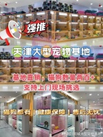天津买狗买猫的地方在哪里？安全可靠，可实体店挑选心仪的宠物