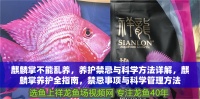 麒麟掌不能乱养，养护禁忌与科学方法详解，麒麟掌养护全指南，禁忌事项与科学管理方法