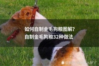 如何自制金毛狗粮图解？自制金毛狗粮32种做法