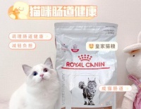 猫胃肠道处方粮有何特别之处？它适合哪些猫咪？