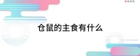 仓鼠的主食有什么