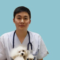 小鱼吃什么