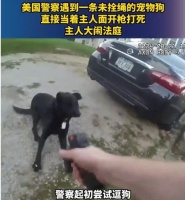 2024年8月，美国警察被一条没栓绳的宠物狗狂吠，他直接当着主人的面把狗击毙了，