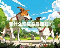 养什么观赏鸟
