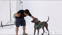 一小时赚350元！生意贼好！义乌有人开始做……
