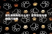 哺乳期狗狗吃什么好？营养搭配与喂养技巧指南