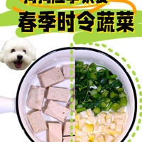 狗狗可以吃的春季时令食材宠物应季饮食