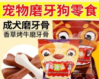 狗狗磨牙必买清单（选择适合狗狗的磨牙用品，让它健康快乐成长）