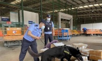 接狗去机场需要准备什么？（旅行必备宠物用品清单，机场接狗攻略）