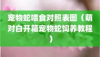 宠物蛇喂食对照表图（萌对白开箱宠物蛇饲养教程）