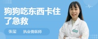狗狗吃东西卡住了急救