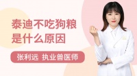 狗狗不吃饭是什么原因