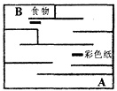 在如图所示的研究鸟类行为的方法是（ ）