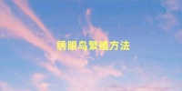绣眼鸟繁殖方法，绣眼鸟繁殖