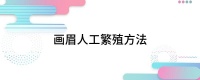 画眉人工繁殖方法