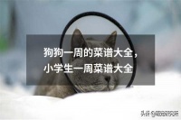 狗狗一周的菜谱大全，小学生一周菜谱大全