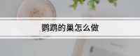 鹦鹉的巢怎么做