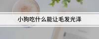 小狗吃什么能让毛发光泽