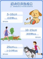 宠物运动健康指南！