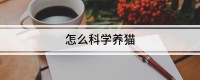怎么科学养猫