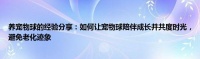 养宠物球的经验分享：如何让宠物球陪伴成长并共度时光，避免老化迹象