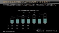 宠物干细胞行业技术服务体系及在治疗中的应用
