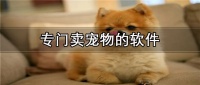 专门卖宠物蛇的app排行 收宠物的专门卖宠物的app推荐