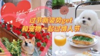 8.0宠物:如何让你的宠物更健康?宠物饮食、运动、护理全指南