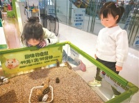 “異寵”不可隨意寵