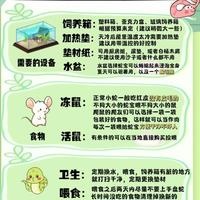 宠物蛇保姆级饲养攻略 一篇就懂！