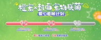封面宠物联“萌”爱心值突破70万！7月17日“每日之星”挑战赛预告来袭