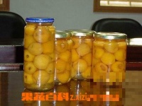 怎样自制枇杷罐头 枇杷罐头制作方法技巧