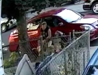 美国女子宠物狗遭比特犬越围栏攻击，邻居协助将其击退，涉事围栏还挂着“掉牙”警示牌