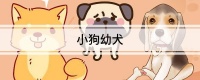 小狗幼犬