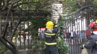惊险！杨浦公园惊现两条蟒蛇！