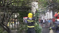 惊险！今天上午杨浦公园惊现两条蟒蛇！