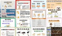 纠正狗狗的不良行为训练视频