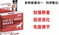 BONNERINE狗狗益生菌的作用如何