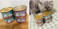 新手养猫攻略，第一次养猫完整攻略