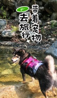 带着萌宠去避暑！房山宠物友好地点大推荐
