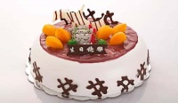 小狗过生日作文（精选11篇）
