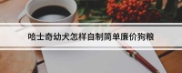 哈士奇幼犬怎样自制简单廉价狗粮